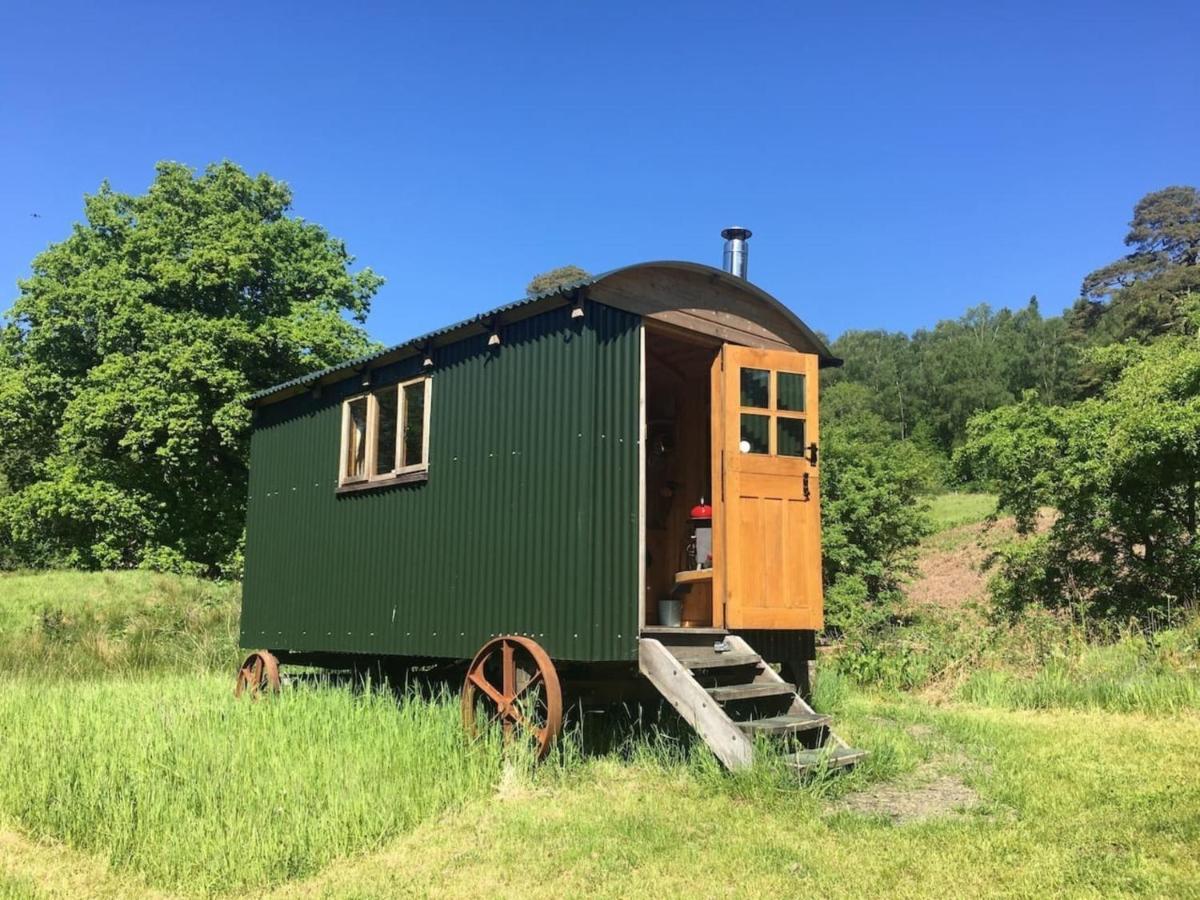 Cosy Woodland Off Grid Shepherds Hut - Rowan Villa Castle Douglas Exterior photo