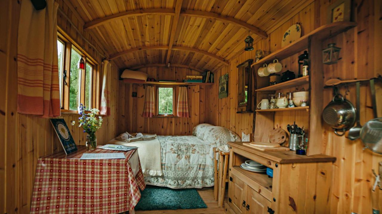 Cosy Woodland Off Grid Shepherds Hut - Rowan Villa Castle Douglas Exterior photo