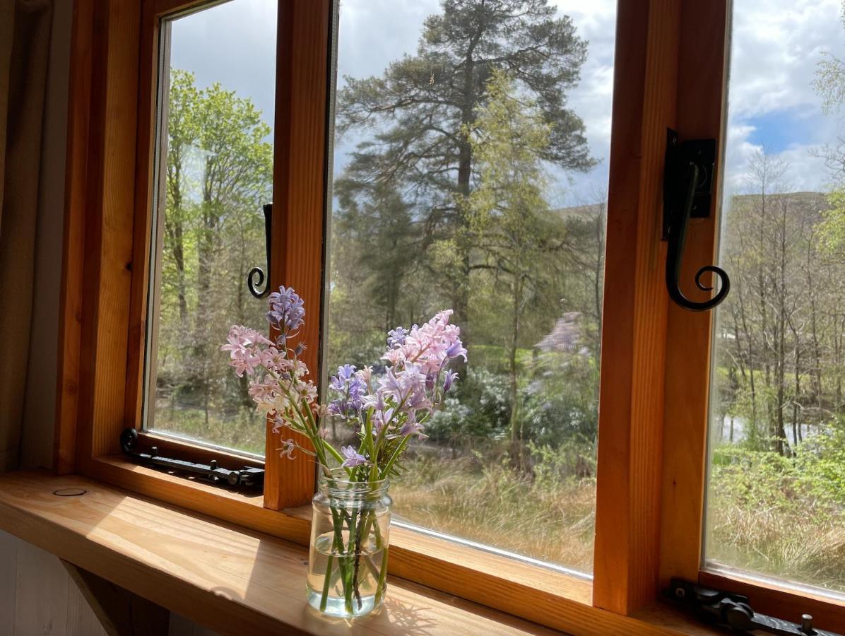 Cosy Woodland Off Grid Shepherds Hut - Rowan Villa Castle Douglas Exterior photo